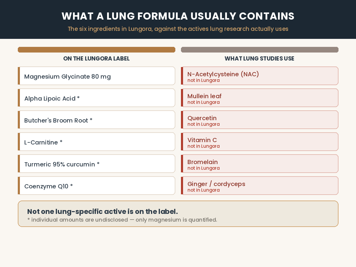 Lungora's six ingredients against the lung actives used in research — no overlap
